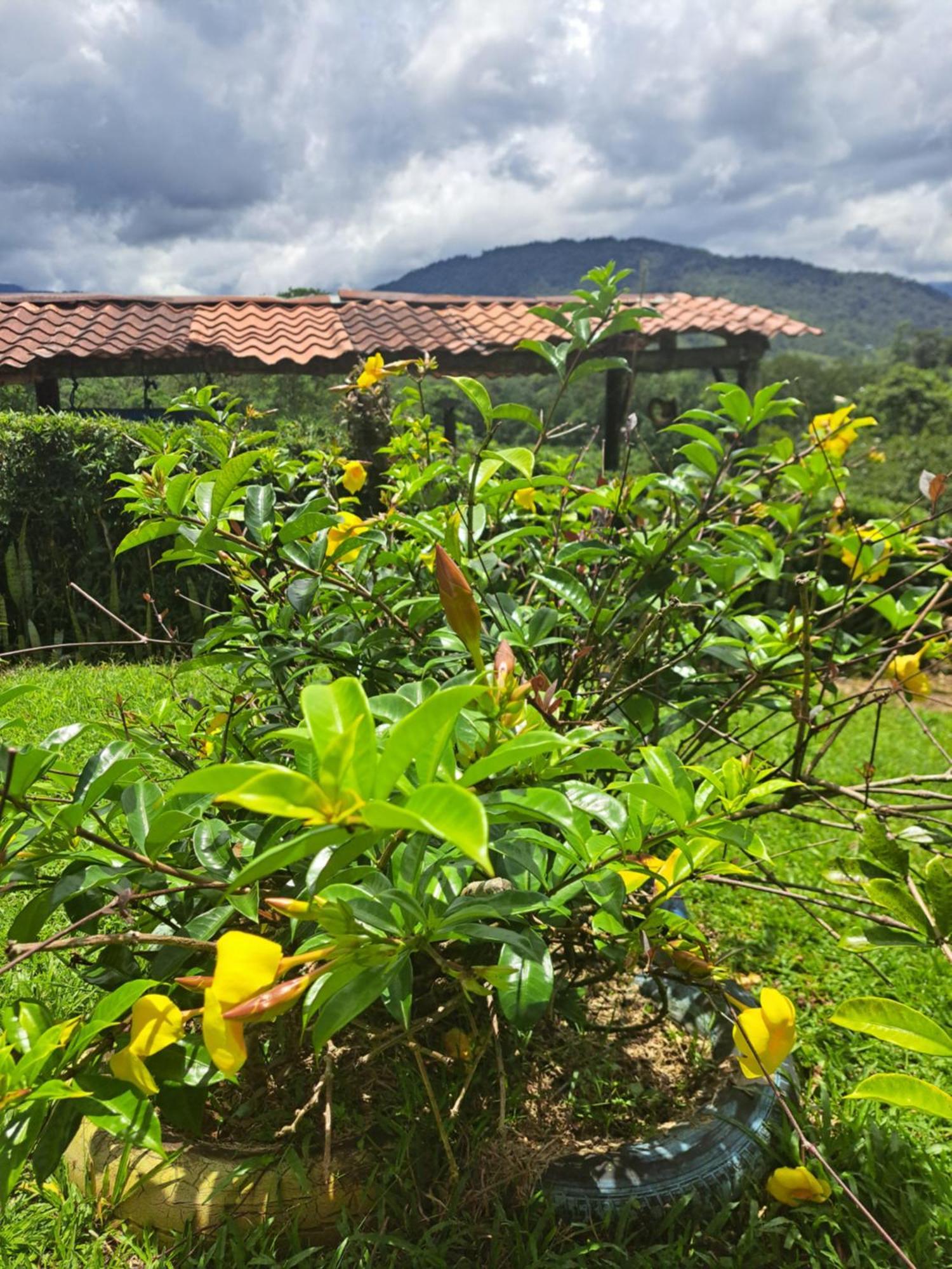 Hospedaje Luis & Ana Pejibaye Luaran gambar